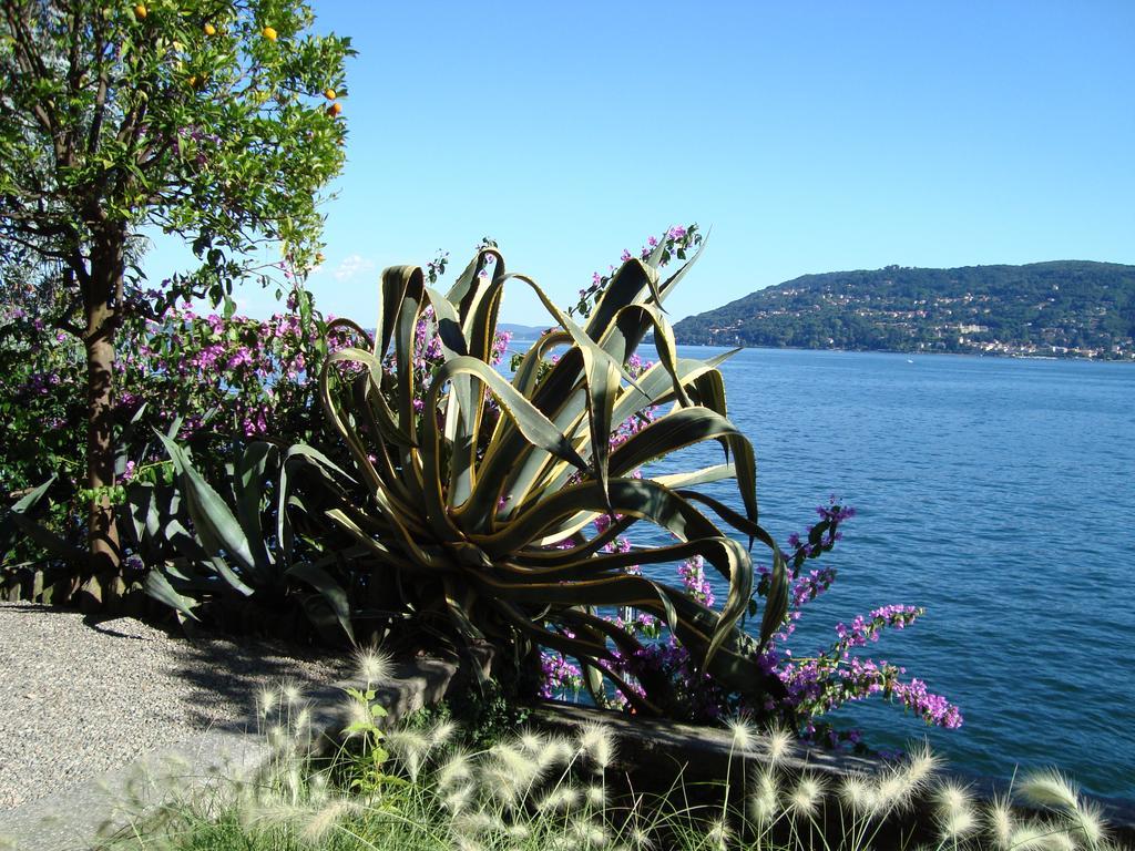 Bed & Breakfast Gli Oleandri Stresa Exterior photo